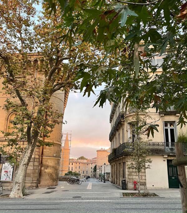 Appartement Cosy Au Coeur De L'Ecusson Montpellier Buitenkant foto